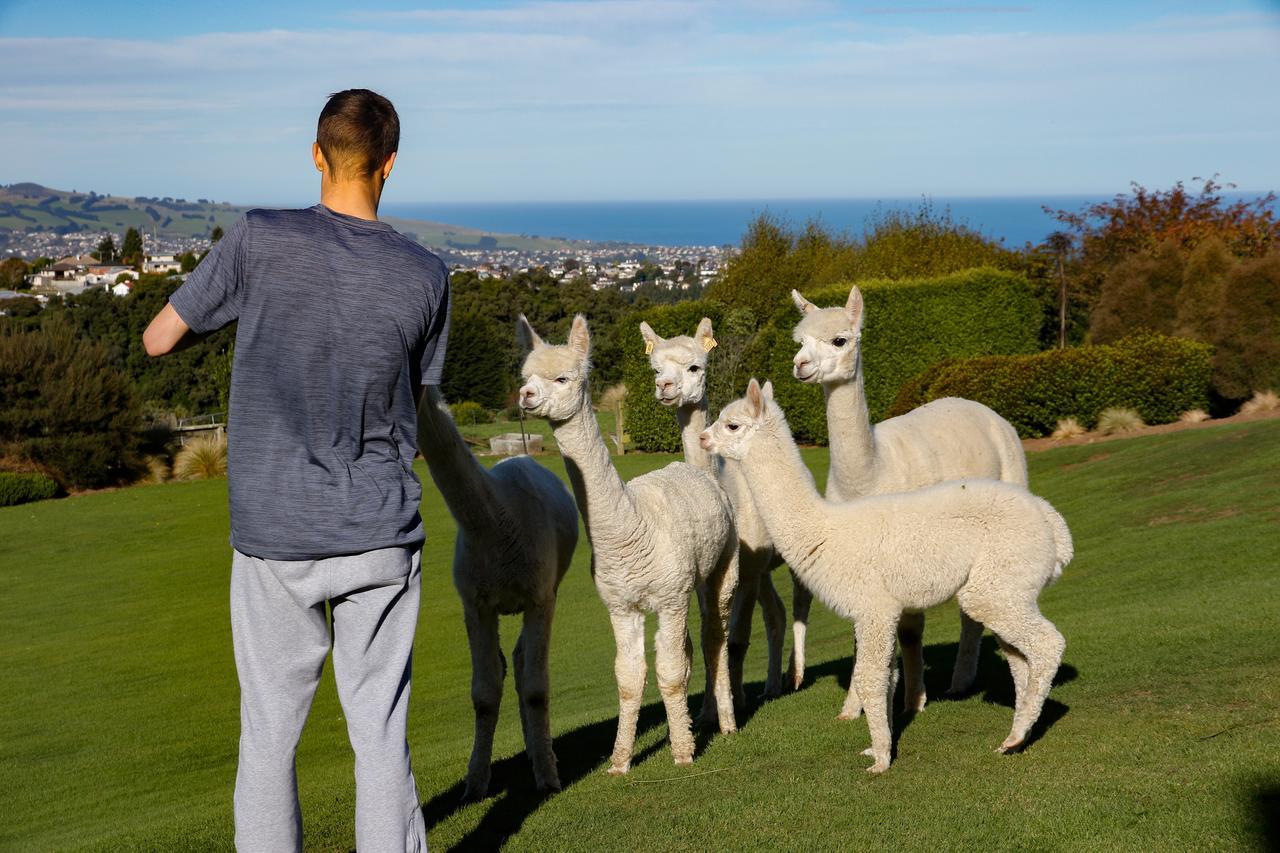 Alpaca Farmstay Dunedin Exterior photo